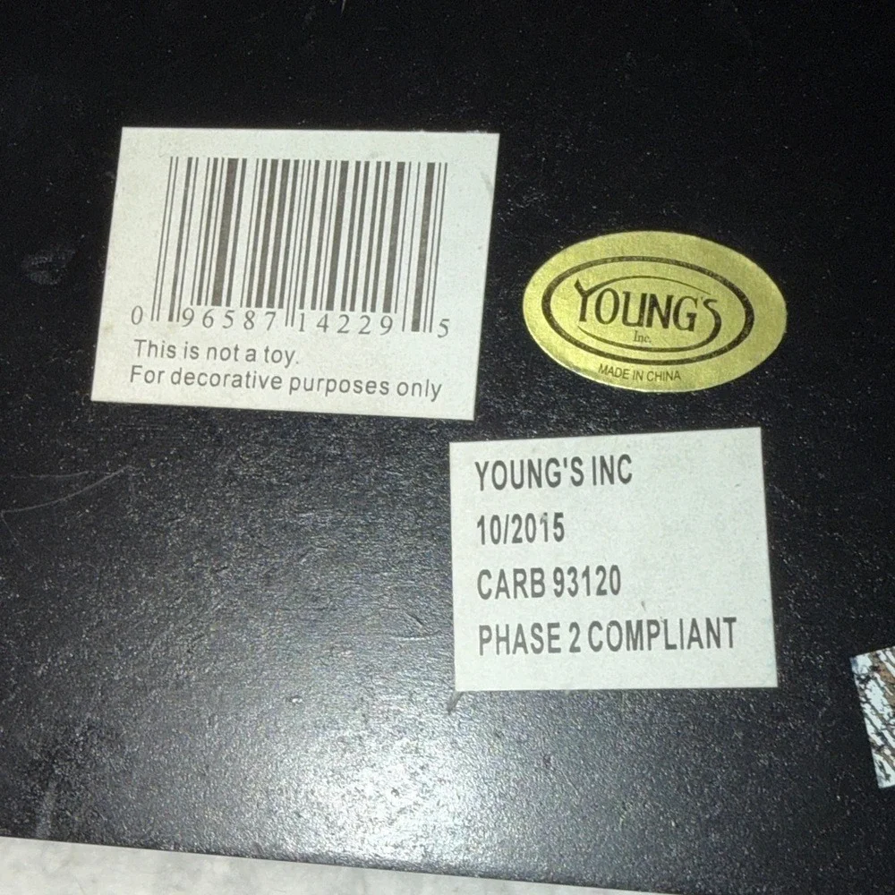 Youngs Inc youngs inc